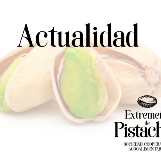 Actualidad Extremeña de Pistachos