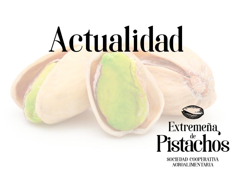 Actualidad Extremeña de Pistachos