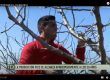 Canal Extremadura se hace eco de nuestra cooperativa