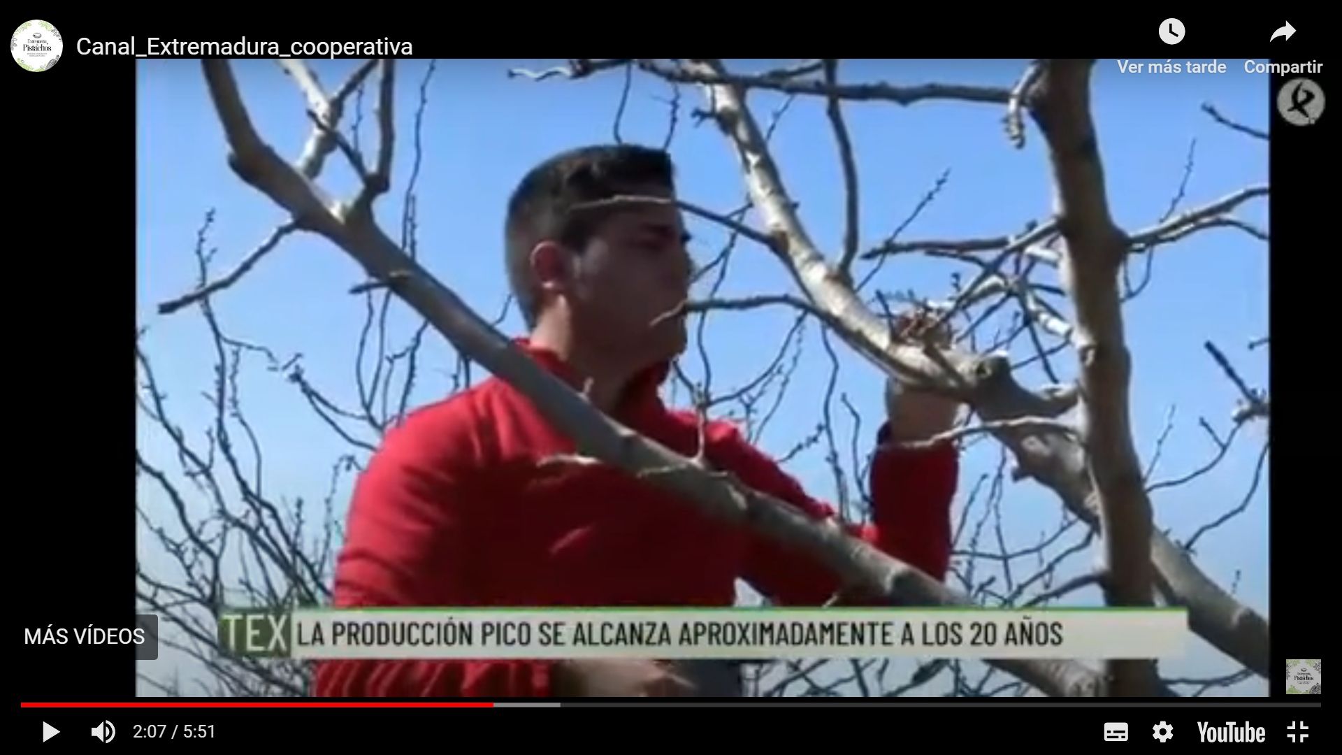 Canal Extremadura se hace eco de nuestra cooperativa