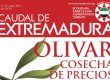 Revista Caudal de Extremadura Otoño 2023