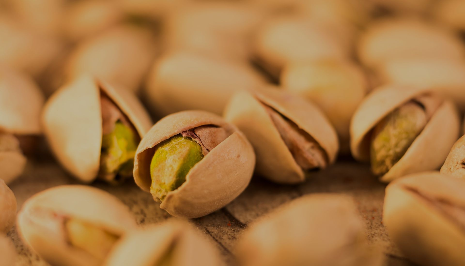 Extremeña de Pistachos Sociedad Cooperativa Agroalimentaria